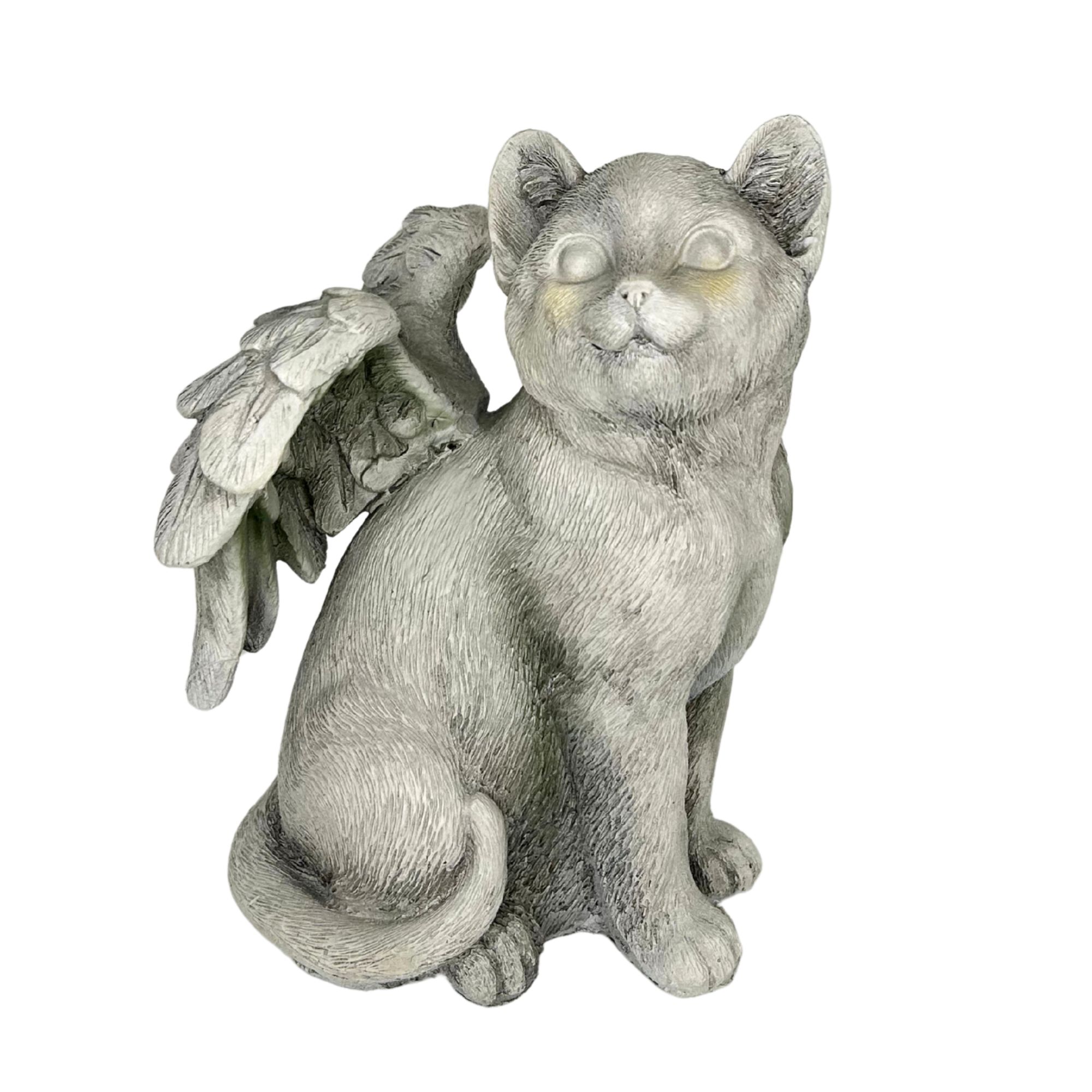 Sympathy Cat