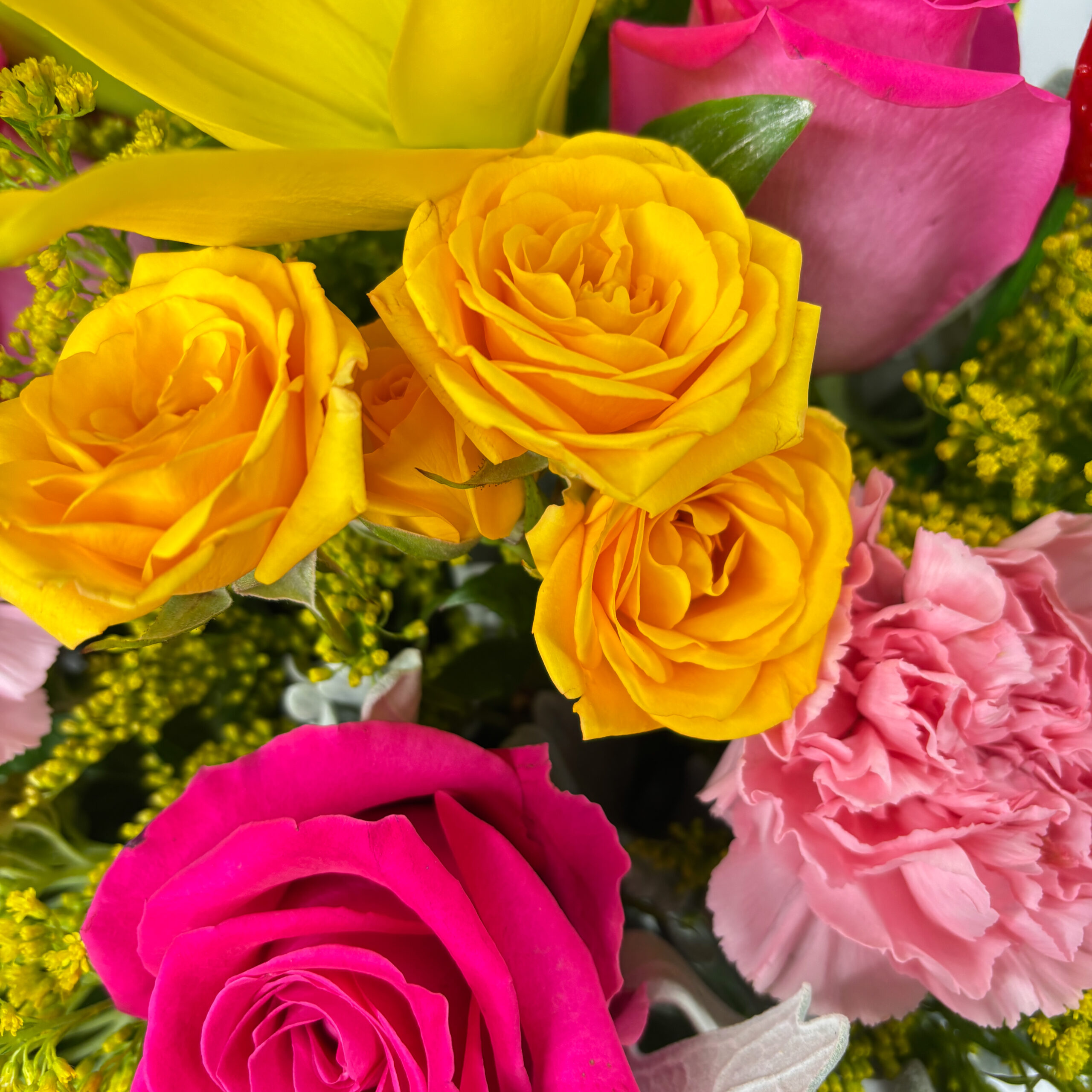 Pink Lemonade - Image 2