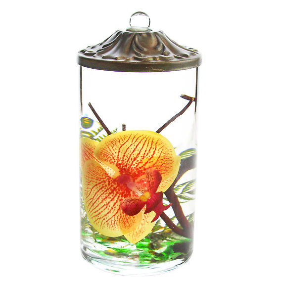 Lifetime Candle - Tangerine Orchid Cylinder