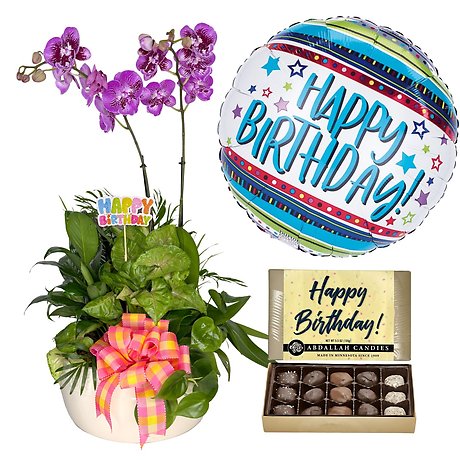 Birthday Bloom Celebration