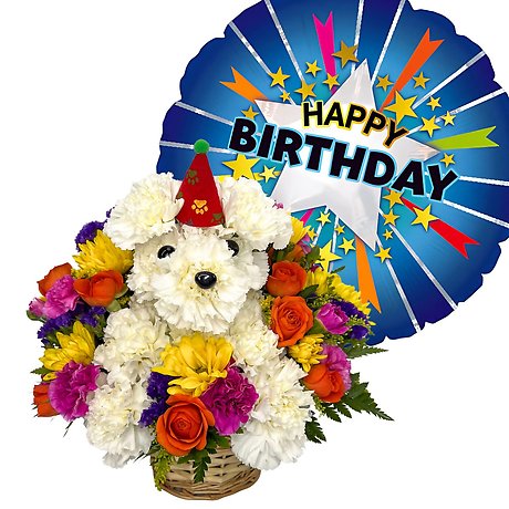 Birthday Rover