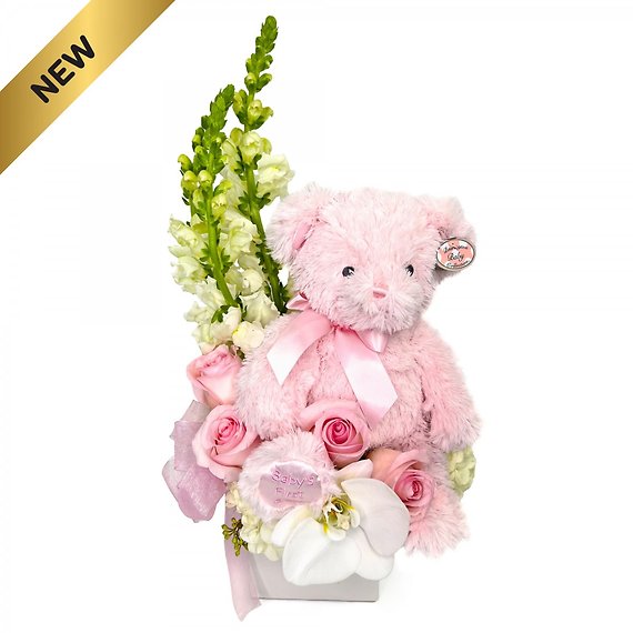 Beary Excited Arrangement - Girl