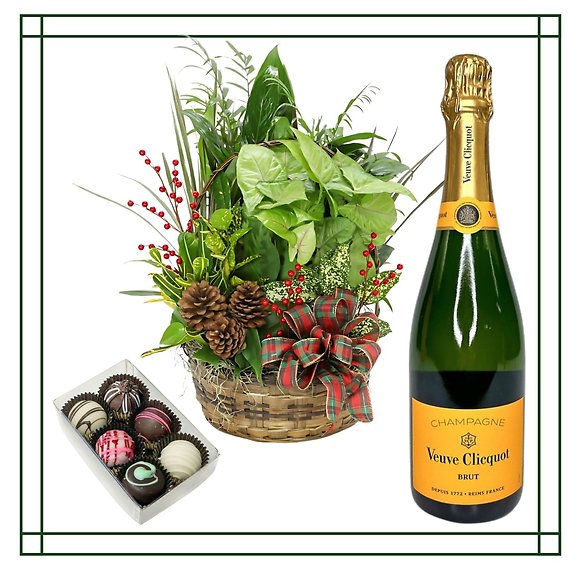 Christmas Is Coming Package