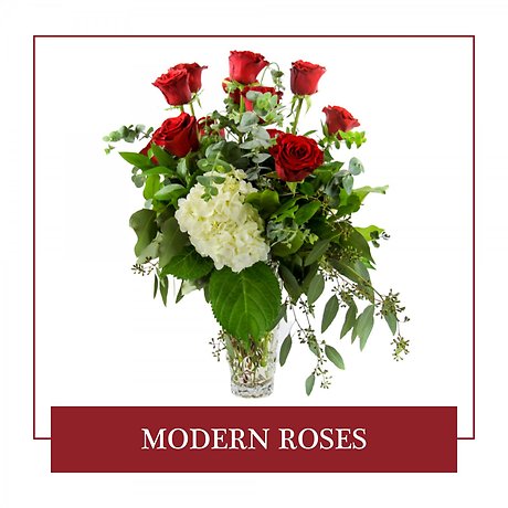 Modern Roses