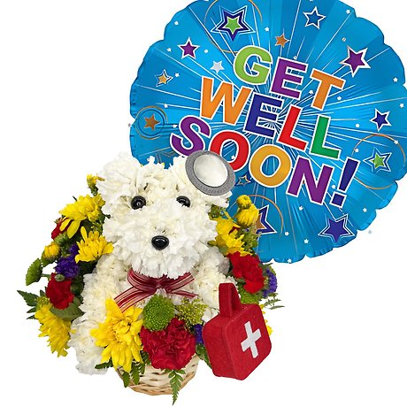 Dr. Doggie