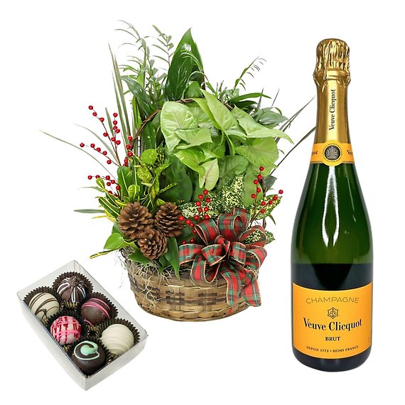 Christmas Is Coming Package