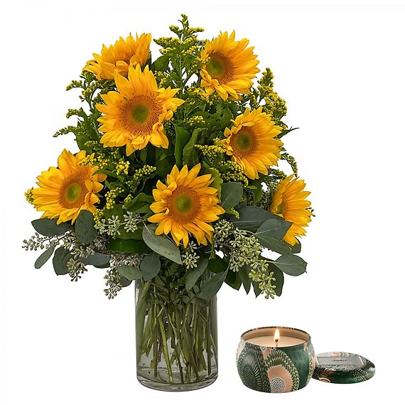 Sunflower Package