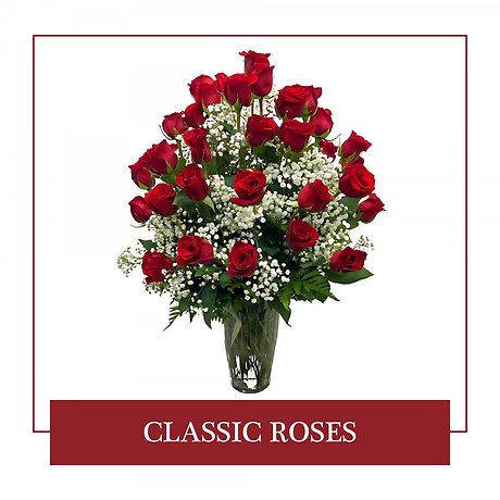 Classic Roses