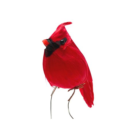 Add Red Cardinal