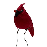 Cardinals Appear - 36\" Picturesque Sonnet