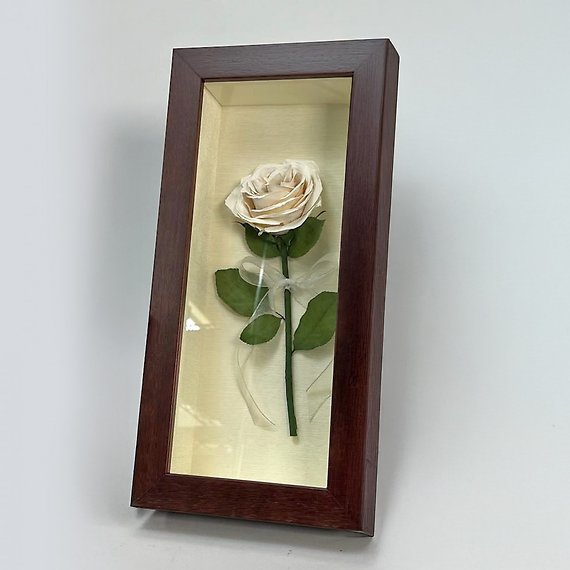 Single Rose Shadowbox