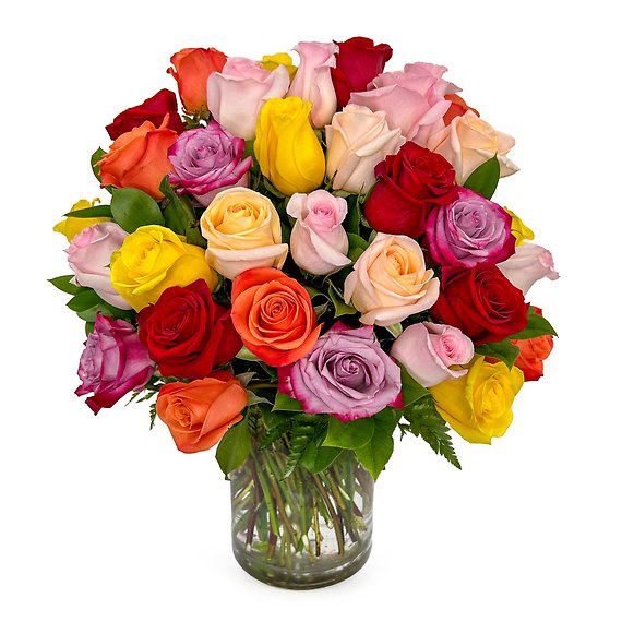 60 Kaleidoscope Roses