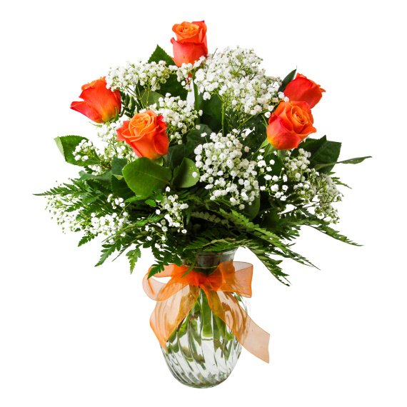 1/2 Dozen Orange Roses