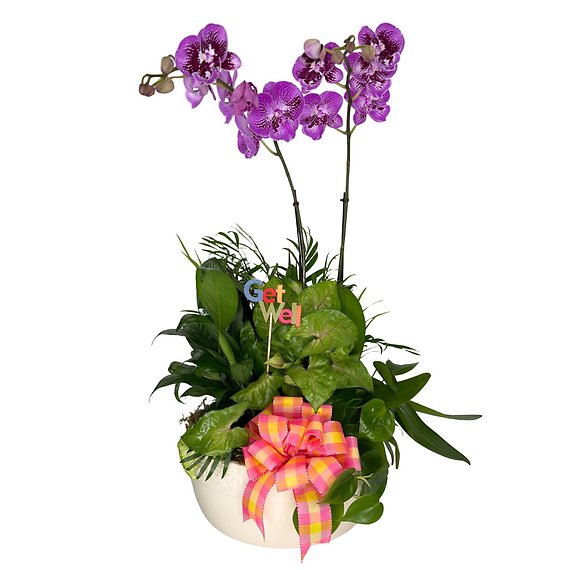 Blooming Recovery Package