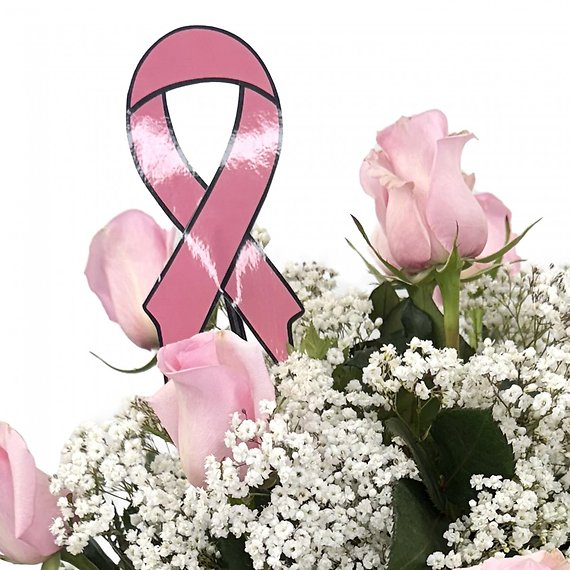 1 Dozen Pink Breast Cancer Awareness Roses