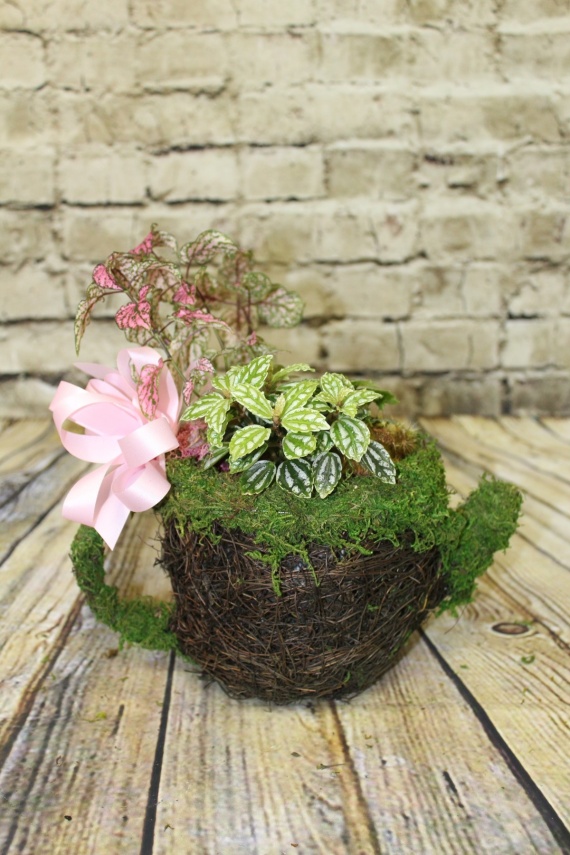 Tea Pot Planter