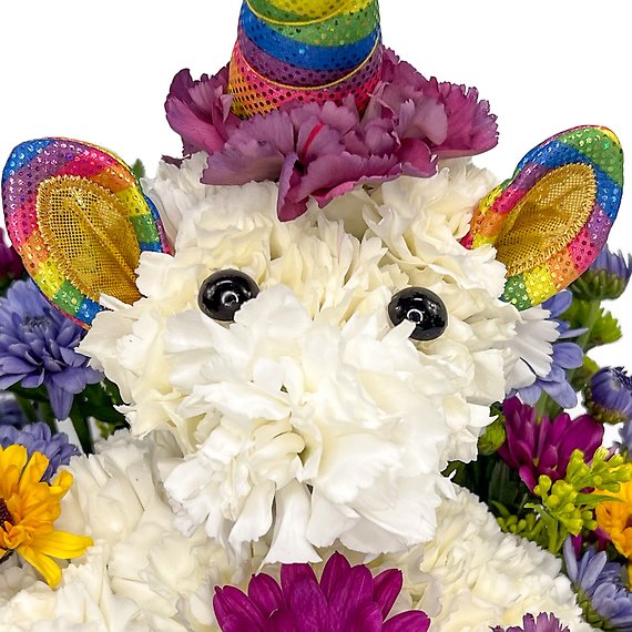Enchanting Unicorn