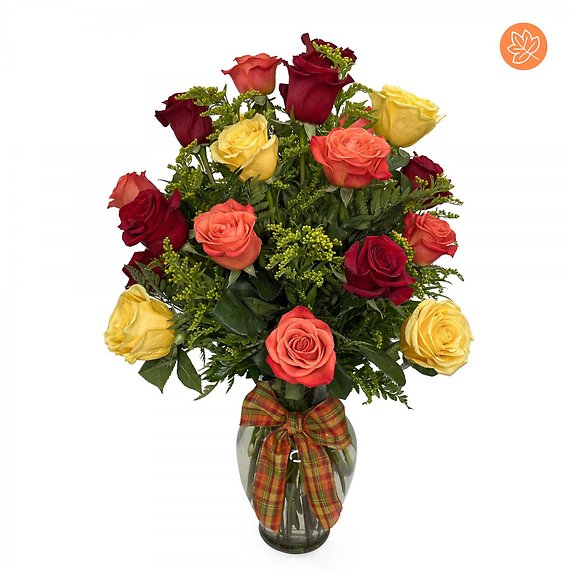 2 Dozen Classic Fall Roses