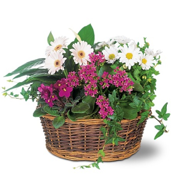 Traditional European Garden Basket