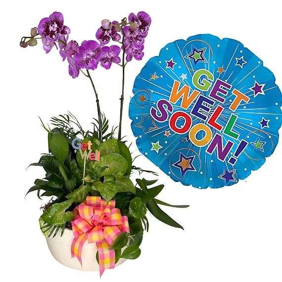 Blooming Recovery Package
