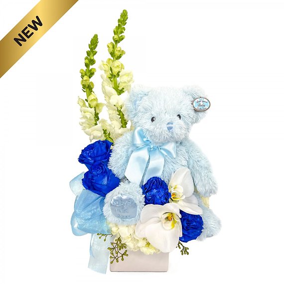 Beary Excited Arrangement - Boy