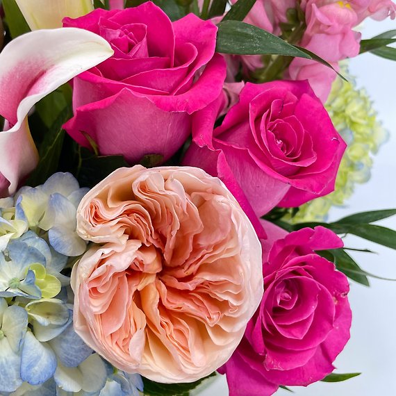 Mom\'s Inspiration