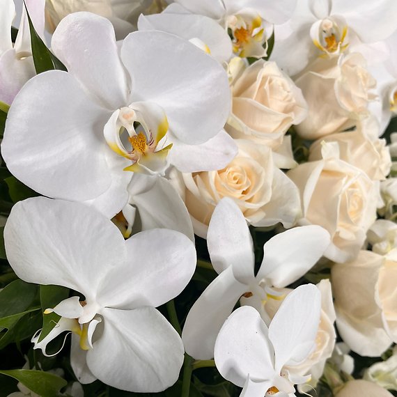 Heavenly Blossom Casket Spray