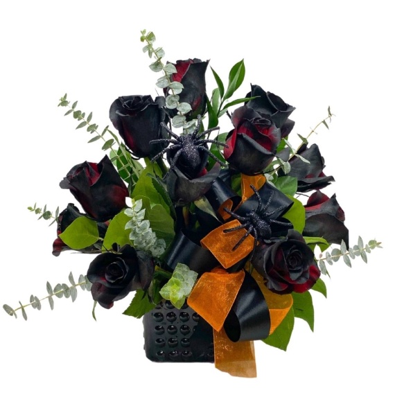 1 Dozen Modern Boo-tiful Black Roses