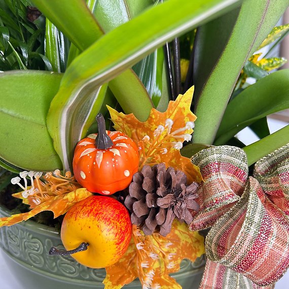 Fall Orchid Dish Garden