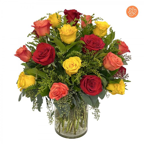 2 Dozen Modern Fall Roses