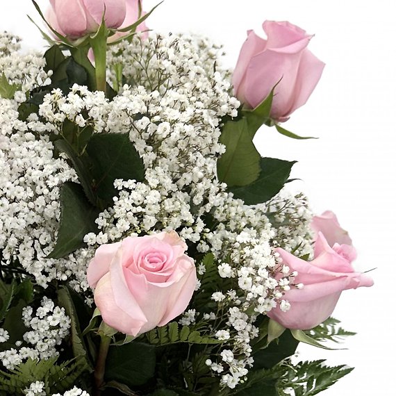 1 Dozen Pink Breast Cancer Awareness Roses