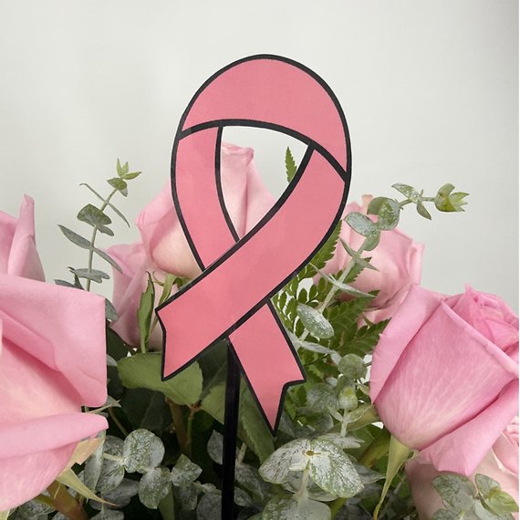 2 Dozen Pink Breast Cancer Awareness Roses