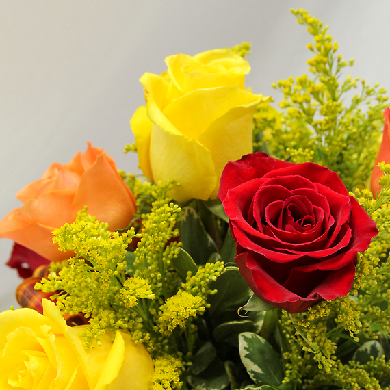 1 Dozen Modern Fall Roses