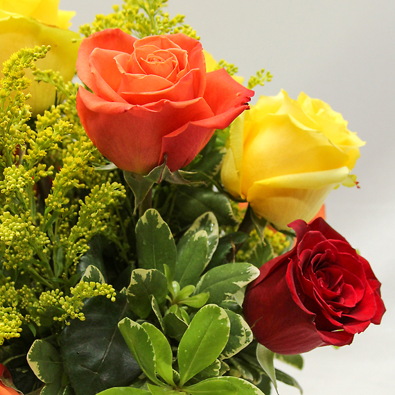1 Dozen Modern Fall Roses