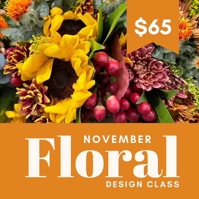 November 6 Fall Class