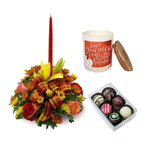 Glow & Gather Package