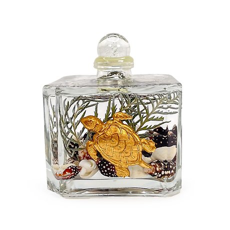 Lifetime Candle - Sea Turtle Cube