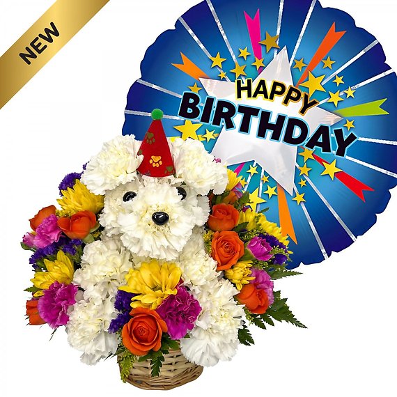 Birthday Rover