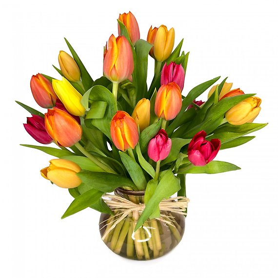 Tulips For Fall