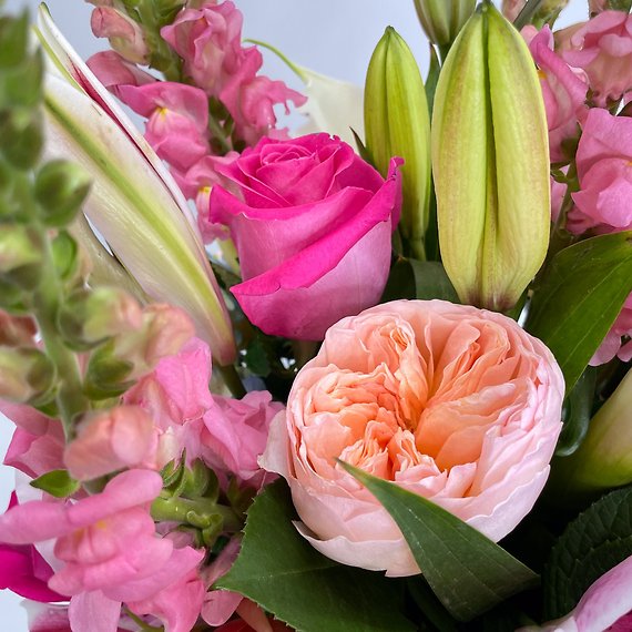 Mom\'s Inspiration