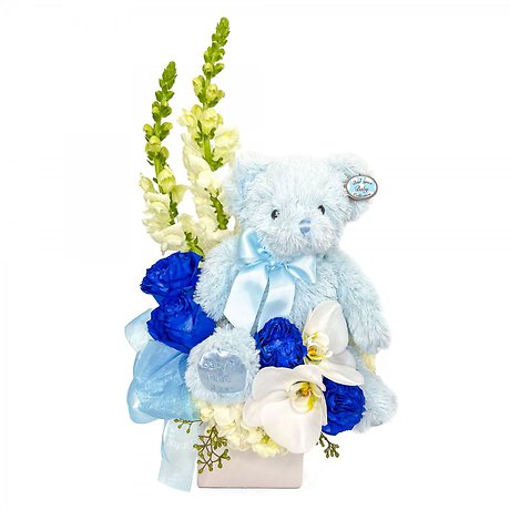 Beary Excited Arrangement - Boy
