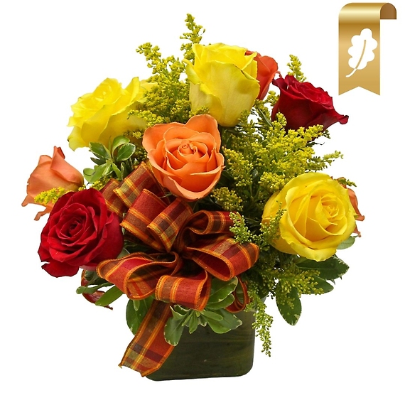 1 Dozen Modern Fall Roses