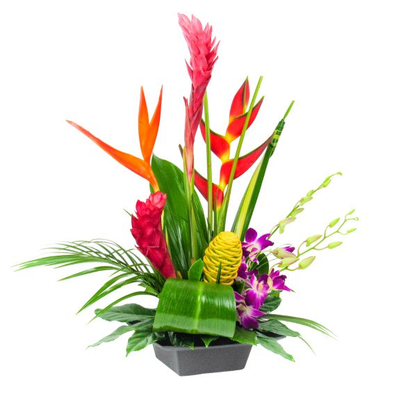 Hawaiian Luau