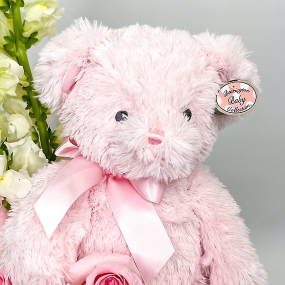 Beary Excited Arrangement - Girl