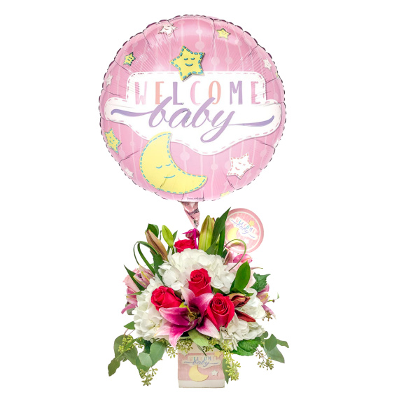 Welcome Baby Girl Bundle