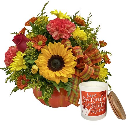 Hello Pumpkin Package