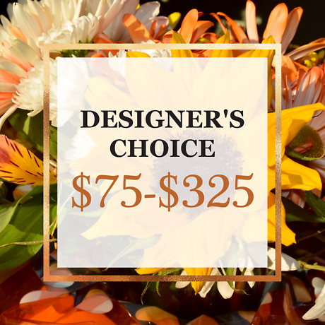 Fall Designer\'s Choice