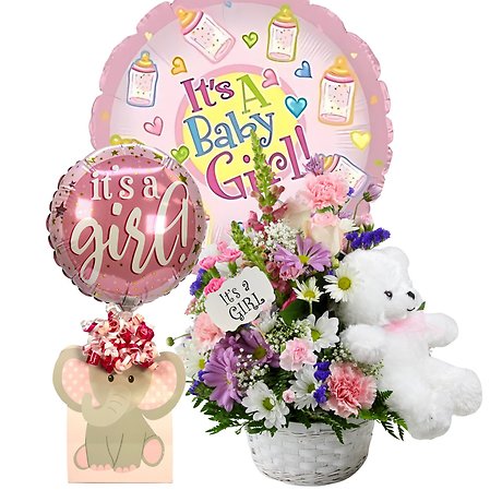 Little Dreamer Girl Package
