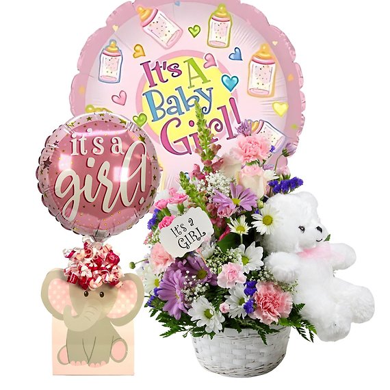 Little Dreamer Girl Package