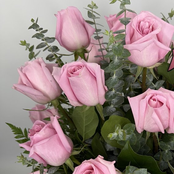 2 Dozen Pink Breast Cancer Awareness Roses
